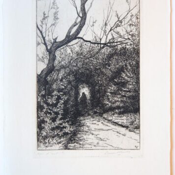 [Modern print, etching] Path among trees (two impressions) (twee impressies van pad tussen de bomen), published before 1913.