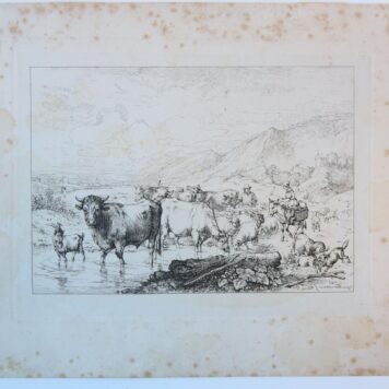 Cattle in a mountainous landscape (vee in een berglandschap).