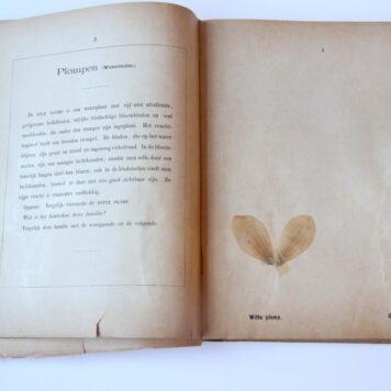 Planten-Album, Ter bevordering van de kennis der algemeen in Nederland groeiende planten. Ten dienste van kweekscholen, normaallessen en hoogere burgerscholen. Tiel, D. Mijs, 1883.