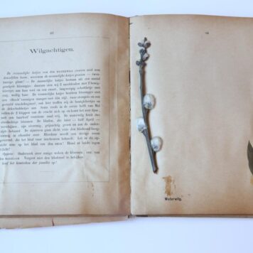 Planten-Album, Ter bevordering van de kennis der algemeen in Nederland groeiende planten. Ten dienste van kweekscholen, normaallessen en hoogere burgerscholen. Tiel, D. Mijs, 1883.