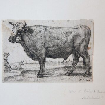 Ets/etching: The Bull [Set: ‘Series of various Oxen and Cows’] (De Stier).