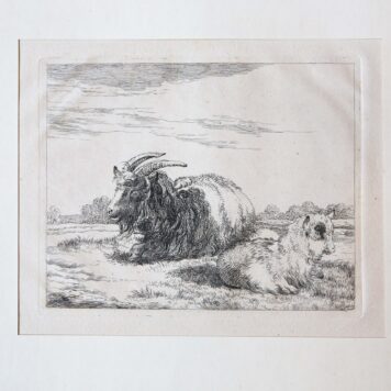 Etching/Ets: A goat and her pup resting on a meadow (Een geit en haar baby rusten in de wei).