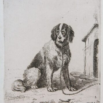Etching on chine collé/ets: Dog on a chain (Hond aan ketting).