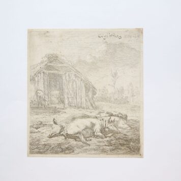 Ets/Etching: The pigs resting in front of a barn (Varkens slapen voor de schuur).