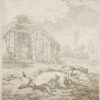 Ets/Etching: The pigs resting in front of a barn (Varkens slapen voor de schuur).