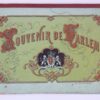 Souvenir de harlem (Haarlem), photographs. Green cardboard decorated binding, 10 photo prints (120 mm high x 75 mm width). Yellow colored photo prints of Hotel van den Berg, Holl. Maatsch. van Wetenschappen,Orgel in Gr. Kerk, Teyler's Fundatie, Nieuwe Kerk, Stadhuis, Stadswaag, Paviljoen in den Hout, Kenau Park, Groote Markt, Hoofdwacht and Vleeschhal. Bound together. With in the end a colored plan of Haarlem (plattegrond Haarlem). Date unknown.