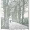Wood engraving/Houtgravure of Aardenhoutslaan, Haarlem. From the book: Eenentwintig houtgravures van Haarlem en omgeving omstreeks het jaar 1909, Haarlem, De Tuinwijkpers, 1971. 190 x 165 mm.