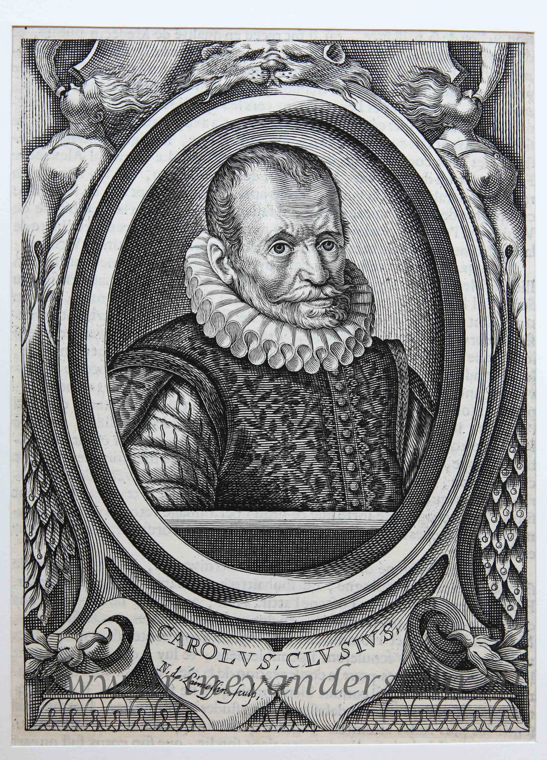 [Original engraving/gravure] Portrait of Carolus Clusius/portret van franstalige geleerde Charles de l'Écluse.