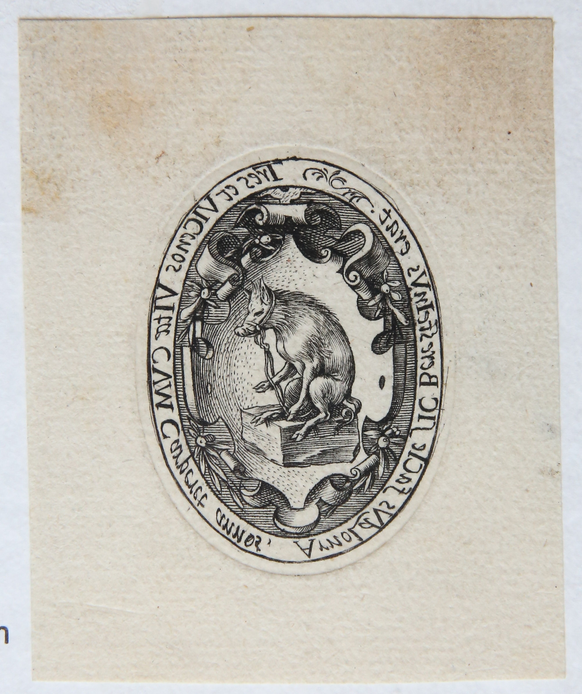 [Antique print, engraving, 1579] Coat of arms of Arnout van Beresteyn / Achterkant van het portretmedaillon van Arnoud van Beresteyn, published 1579, 1 p.
