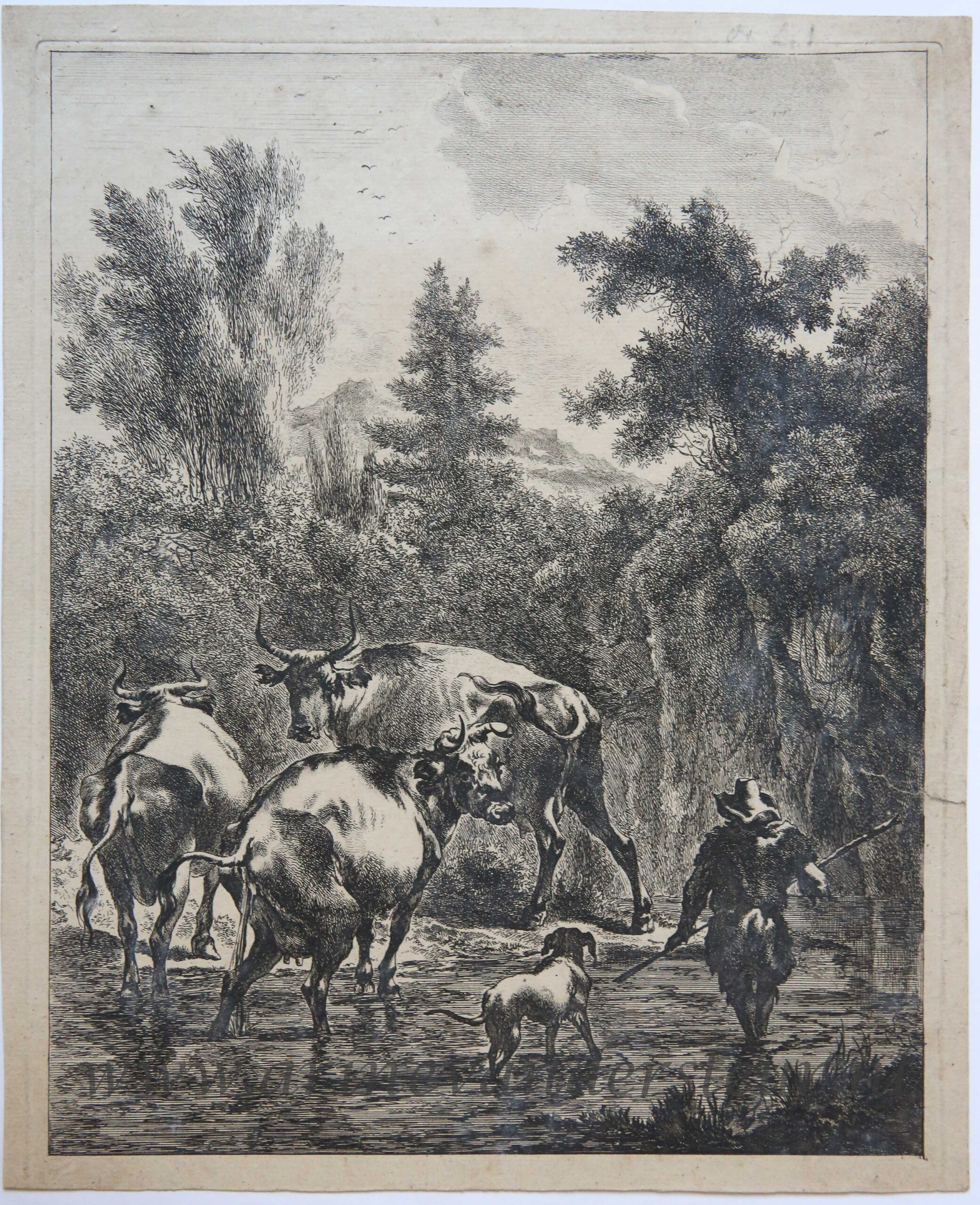 [Antique print, etching] Herd, dog and three cows crossing a ford/ Kudde schapen, hond en drie koeien die een doorwaadbare plaats oversteken, ca 1650-1700.