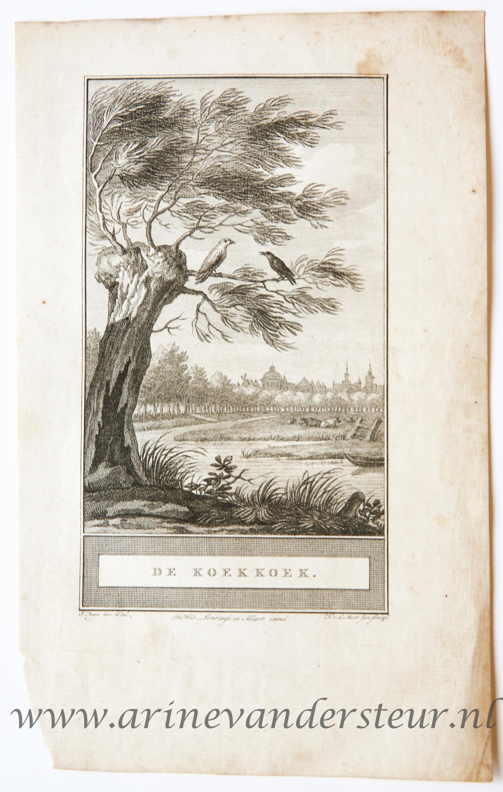 [Bookillustration etching/ets] De koekkoek, from C.F. Gellerts Fabelen en Vertelsels, in Nederduitsche vaerzen gevolgd, eerste deel, Te Amsteldam by Pieter Meijer, op den Dam, 1772, 1 p.
