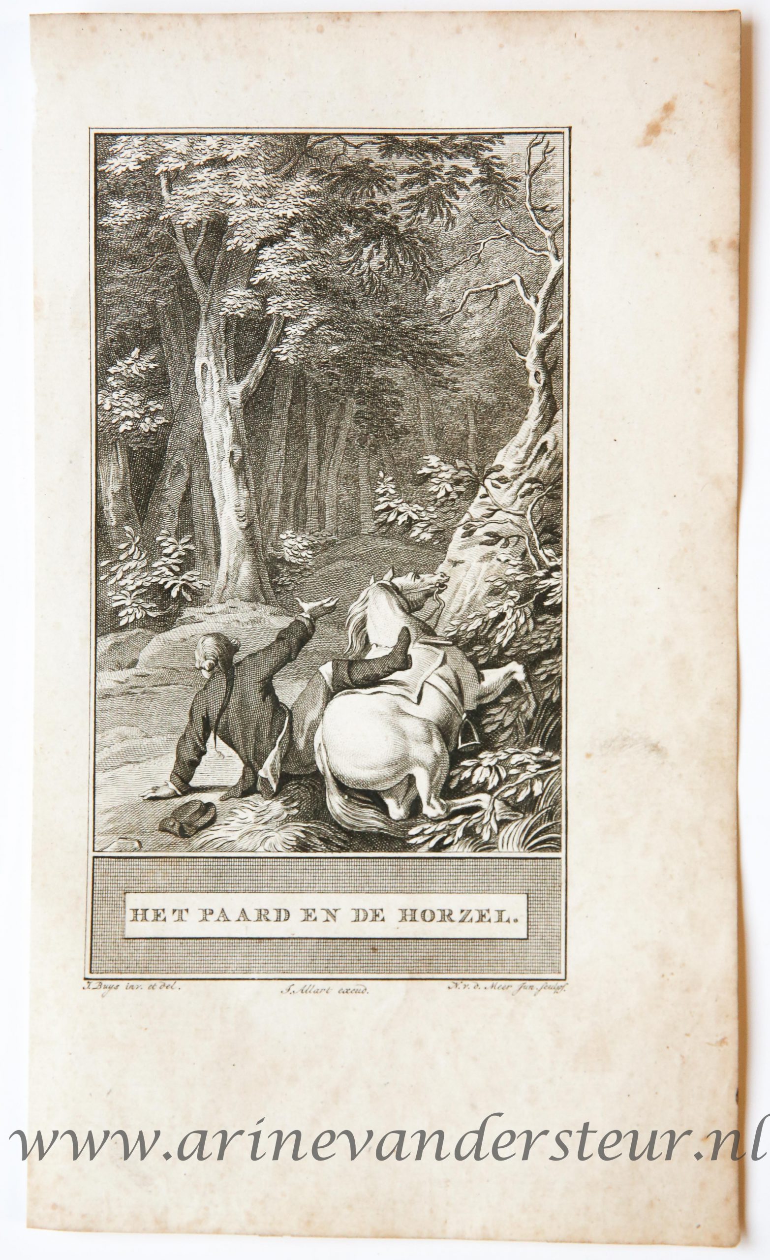 [Bookillustration etching/ets] Het paard en de horzel, from C.F. Gellerts Fabelen en Vertelsels, in Nederduitsche vaerzen gevolgd, eerste deel, Te Amsteldam by Pieter Meijer, op den Dam, 1772, 1 p.