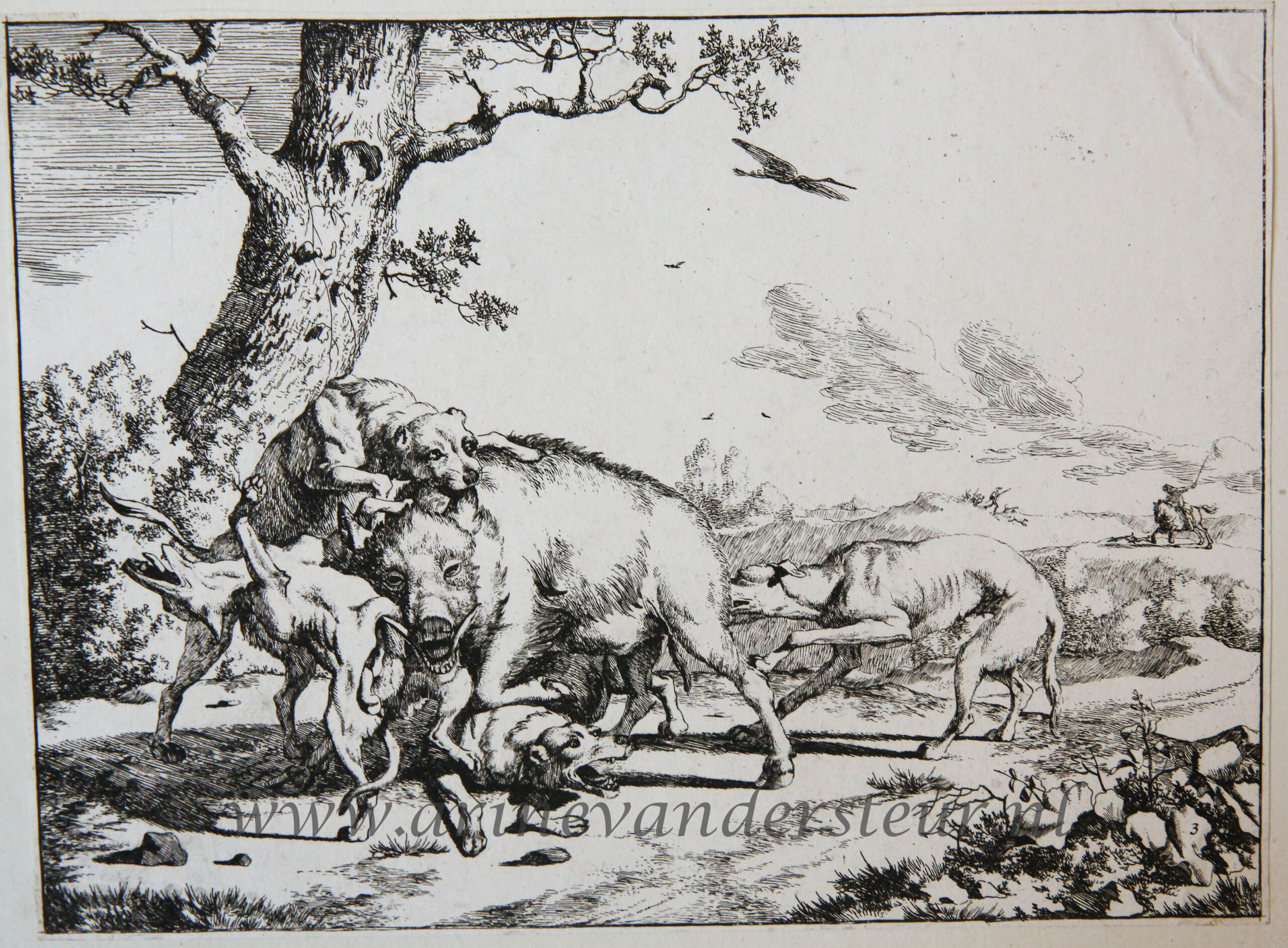 Hunting bulls, wolves, wild boars and bears [complete set of four etchings]/Jagende stieren, wolven en beren, ca 1660.