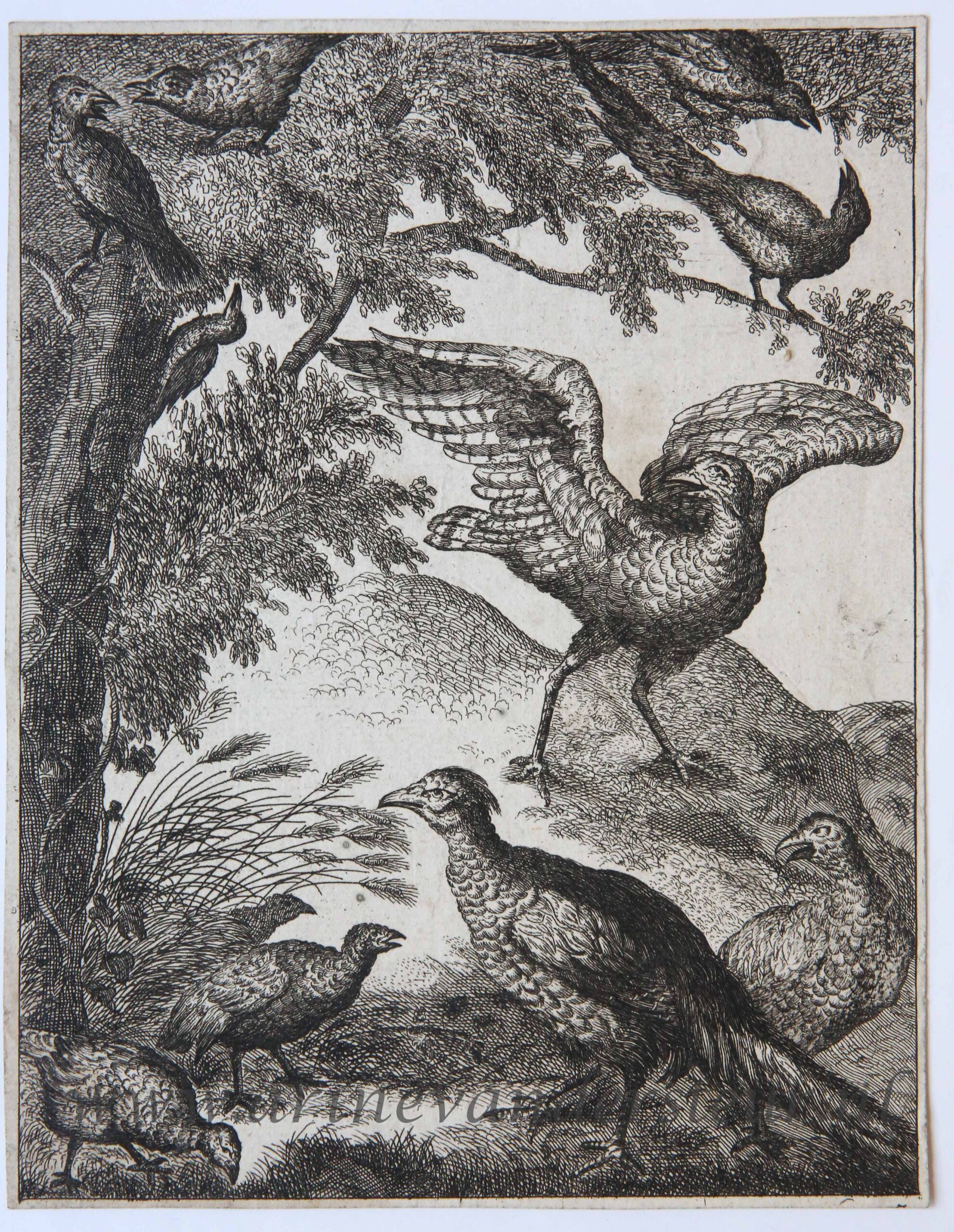 [Original etching] Vergeefse pooging. [S. Spinneker 'Leerzame Zinnebeelden'], ca 1717-1757.