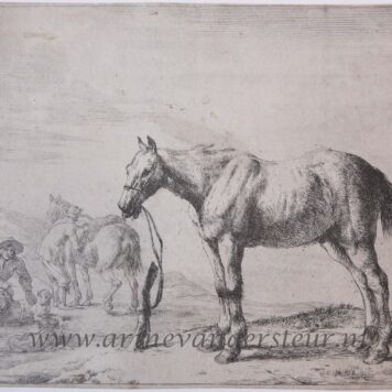 [Antique print, etching] Standing horse tied to a pole [set of 12 horses]/Vastgebonden paard, 1651.