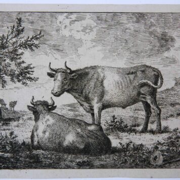 [Antique print, etching] Animals resting on a meadow / Rustende koeien.