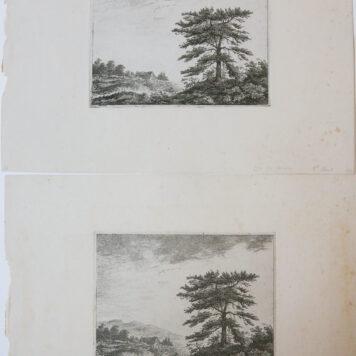 [Antique print, etching] A tree in a landscape / boom in landschap.
