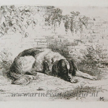 [Antique print, etching] A dog lying on the ground / Hond ligt op de grond.