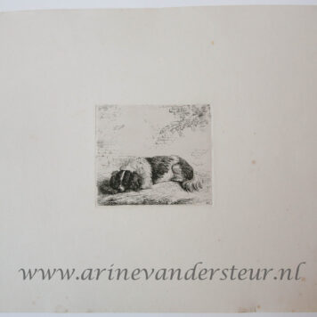 [Antique print, etching] A dog lying on the ground/ Hond ligt op de grond.