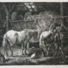 [Antique print, etching] Stable interior with two horses /Stal met twee paarden.