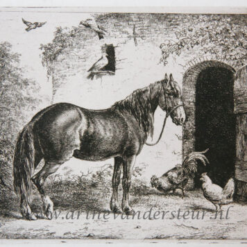 [Antique print, etching] Horse with hen and chicken/Paard met haan en kip.