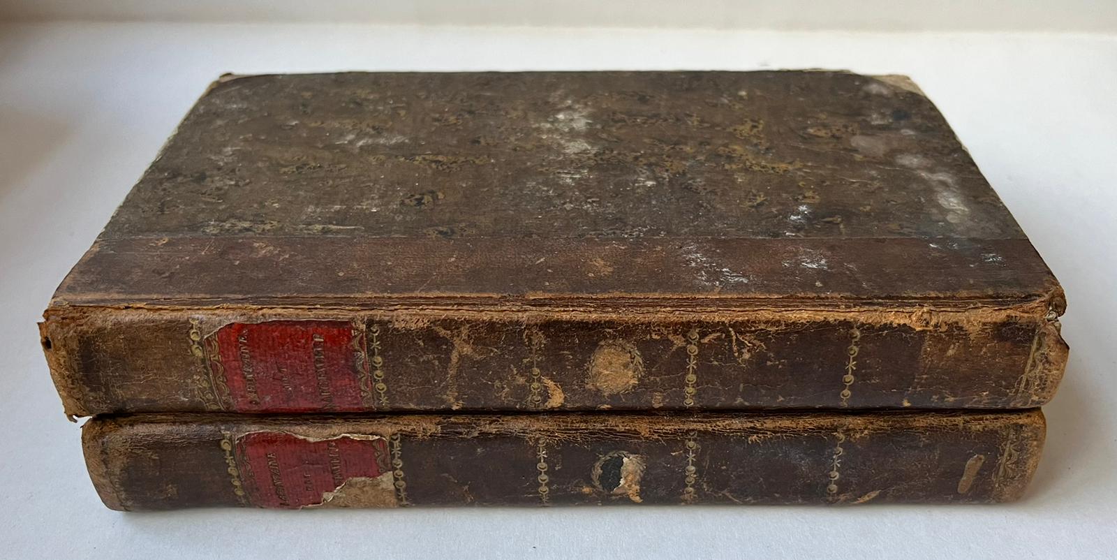 [Literature 1817-1818] Agatha, of Het grafgewelf. Vertaald uit het Duits. Leiden, A. & J. Honkoop, 1817-1818, [2 vols.], 350, 370 pp.