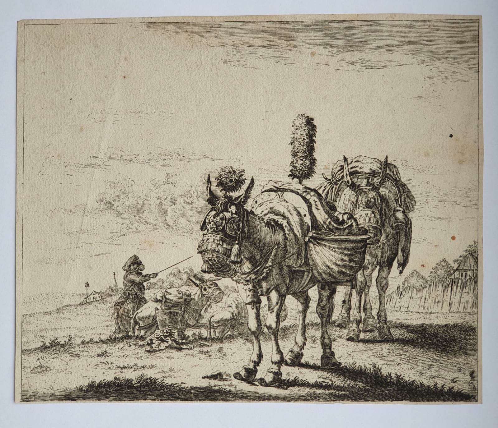 [Antique etching, ets] After K. Dujardin, The two mules, published before 1750.