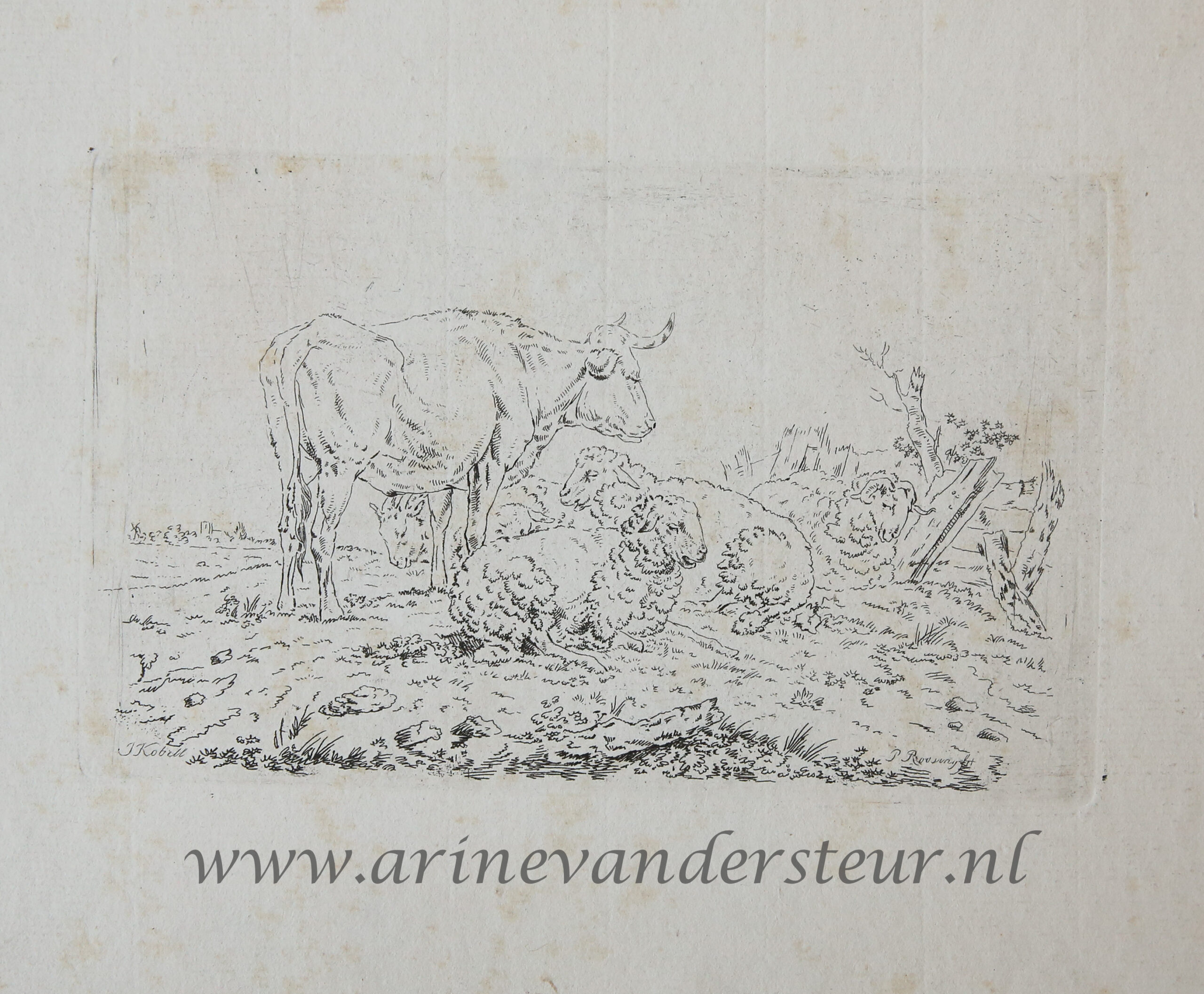 [Original etching, ets] P. Roosing after J. Kobell II. Cow and sheep a meadow, published 1800-1850.