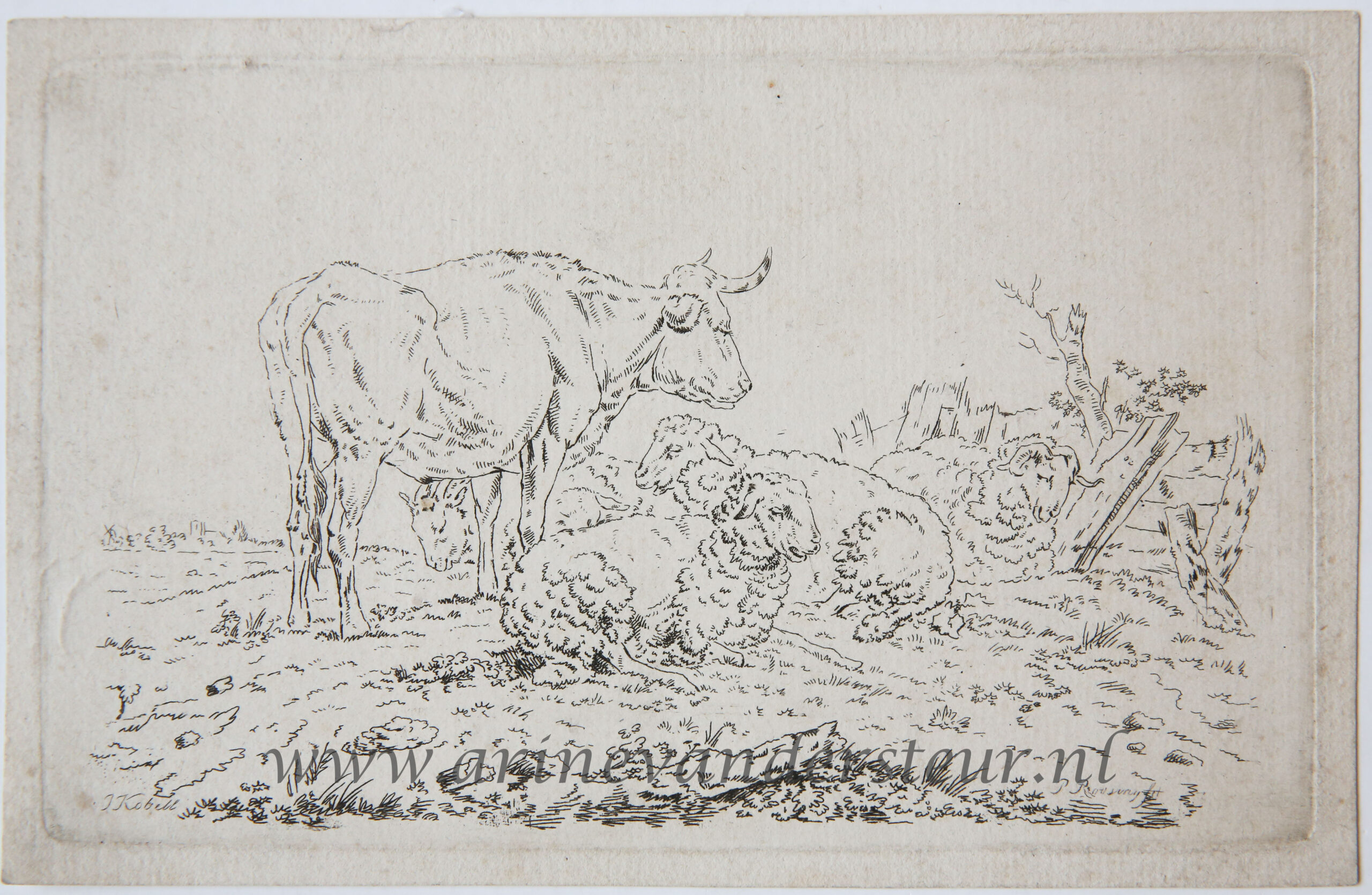 [Original etching, ets] P. Roosing after J. Kobell II. Cow and sheep in a meadow (koe en schaap in de wei), published 1800-1850.