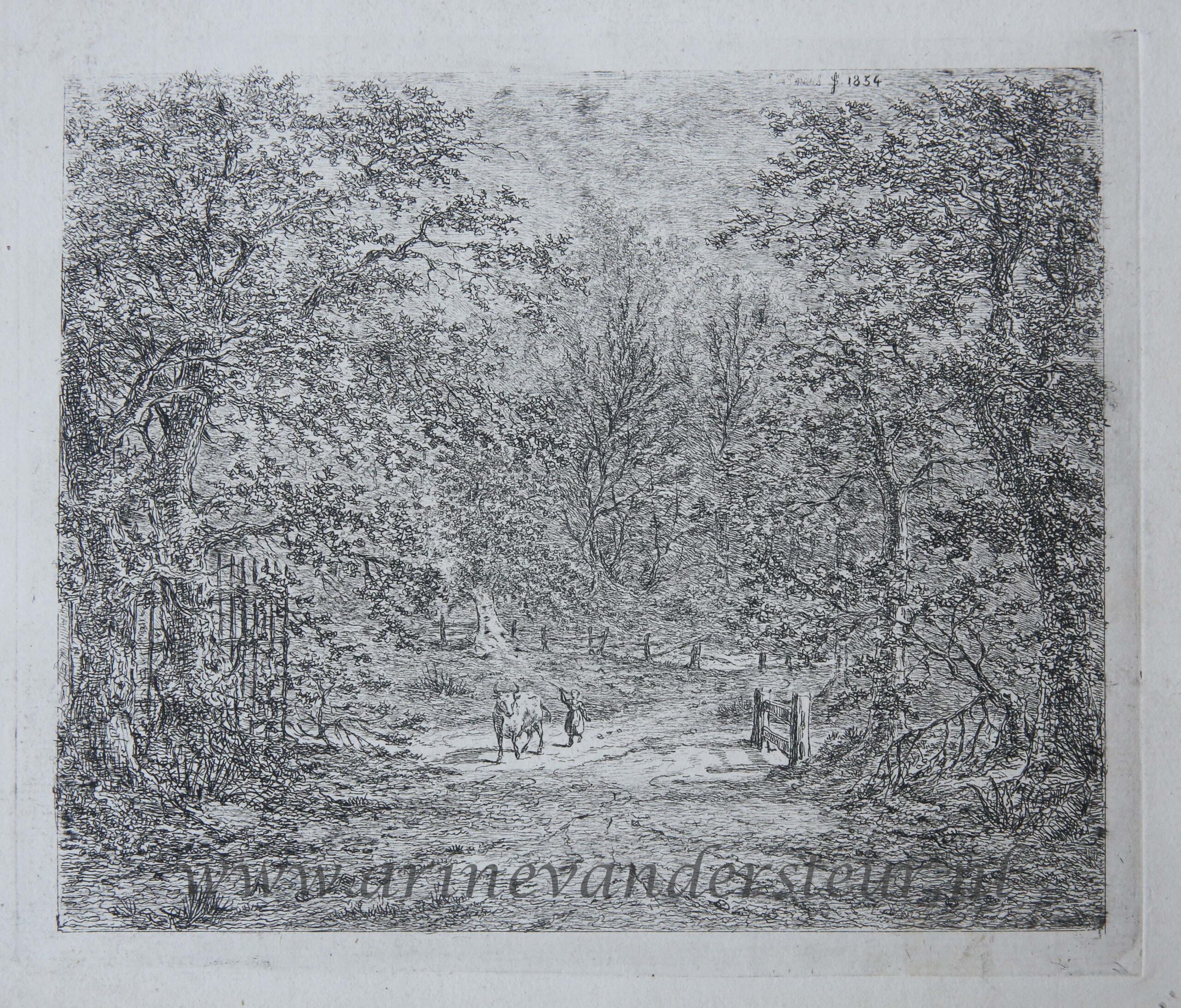[Original etching, ets] G.E. de Micault. The cow in the Bentheim forest. (state I), published 1854.