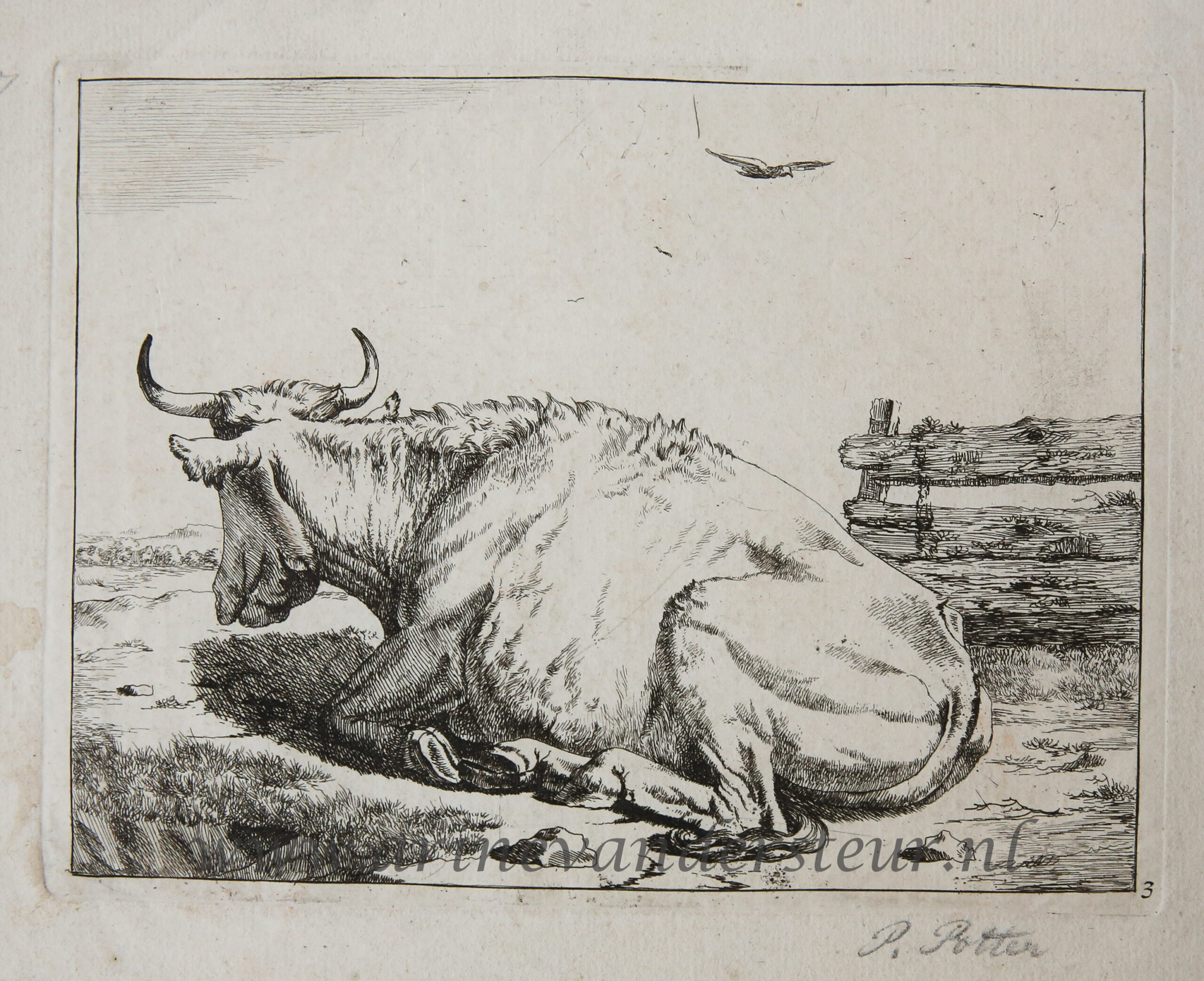 [Original etching, ets] M. de Bye after P. Potter. Laying cow, published 1650-1700.