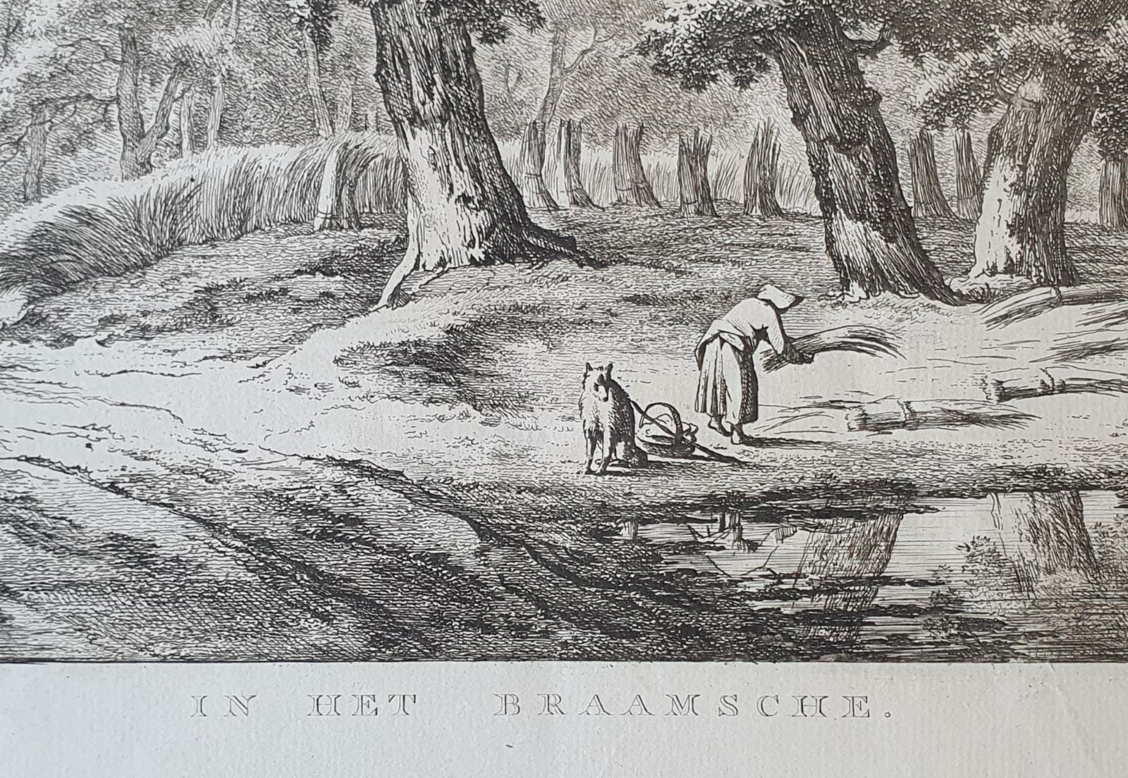 [Antique etching and engraving, ets en gravure] E.v. Drielst, after H. Schwegman, IN HET DRAAMSCHE.
