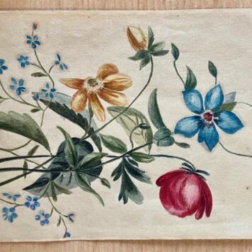 BRUINS--- Album amicorum in de vorm van een oblong doosje met 9 losse blaadjes, uit de jaren 1829-1847. De meeste inschrijvingen en tekeningen van leden van de familie Bruins.