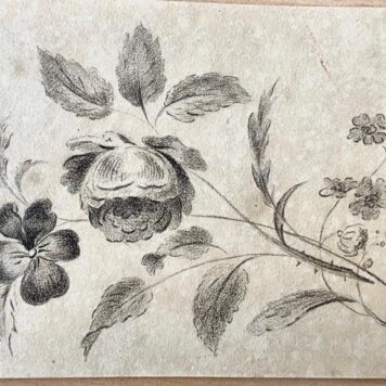 BRUINS--- Album amicorum in de vorm van een oblong doosje met 9 losse blaadjes, uit de jaren 1829-1847. De meeste inschrijvingen en tekeningen van leden van de familie Bruins.