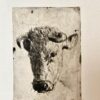 [Antique print, etching] Head of cow/Hoofd van een koe, 1855.