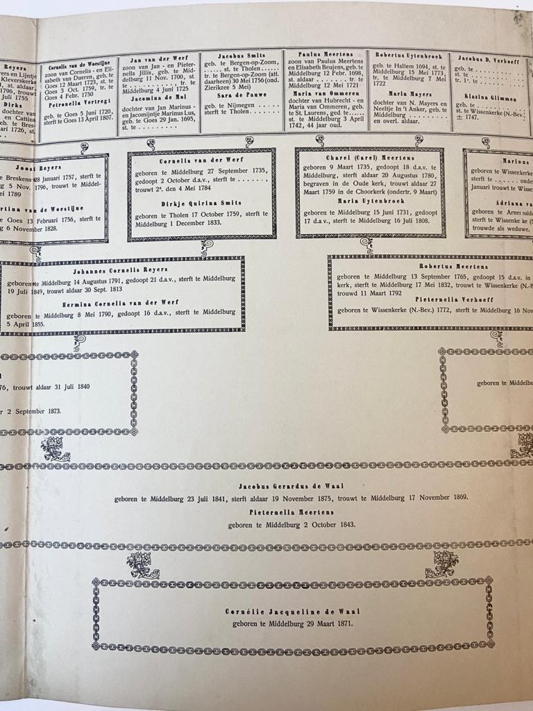 Vijf tabellen uit H.A.M. Roelants Gulden Boek van Schiedam: 32 kwartieren van de kinderen van dr. F.M.Th. Gijsberti Hodenpijl en C.M. Veth, 5 bladen plano