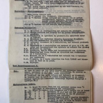 SAPPEMEER ‘Plan van den Gemeentelijken Proeftuin te Sappemeer voor 1919’, 2 p., getypt.