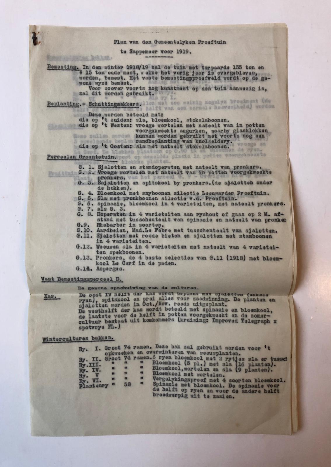  - SAPPEMEER Plan van den Gemeentelijken Proeftuin te Sappemeer voor 1919, 2 p., getypt.