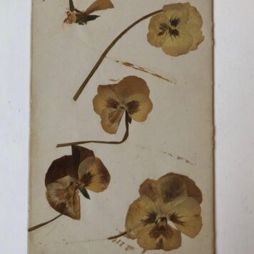 ROESELING, SEMLER, KRAGT Fragment van een Poesie-album van Tine ..., Utrecht 1889-1891 ca. 15 p.
