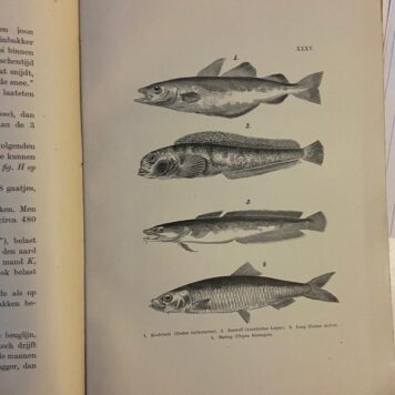 De grootvisscherij op de Noordzee. Beknopte uitgave, Haarlem 1895, 237 pag., geïll.