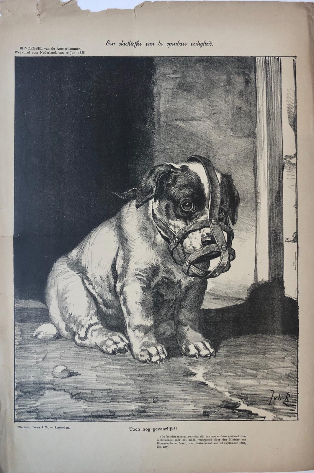 [Original lithograph/lithografie by Johan Braakensiek] Een slachtoffer van de openbare veiligheid, 10 Juni 1888, 1 pp.