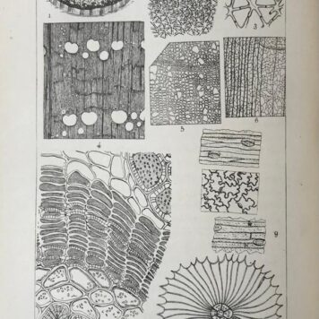 [Science, microscopy, 1879] Le monde invisible devoile. Revelations du microscope. Brussels/Paris, 1879, 515+17 pp. FIRST EDITION. Text in French.