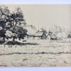 [Modern pen drawing, 1953] Gezicht bij de beek te Keyenberg/Quadenoord, pentekening door G. Boogman uit Arnhem, 1953. 12x18 cm.