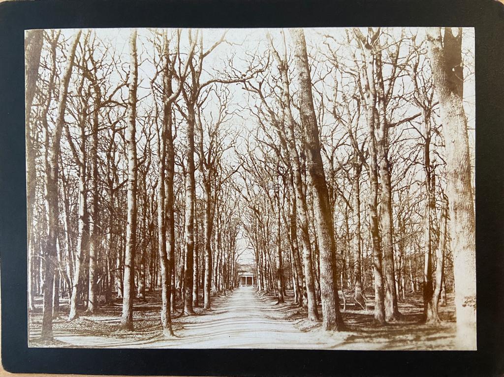 [Photography, Bloemendaal] Old photo of Duin en Daal Bloemendaal, Noord- Holland, The Netherlands, 12 x 17 cm, published around 1900.
