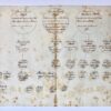 [Geneology manuscript, 19th century] Genealogisch schema Vijgh. 19e eeuws, manuscript, 1 pag.