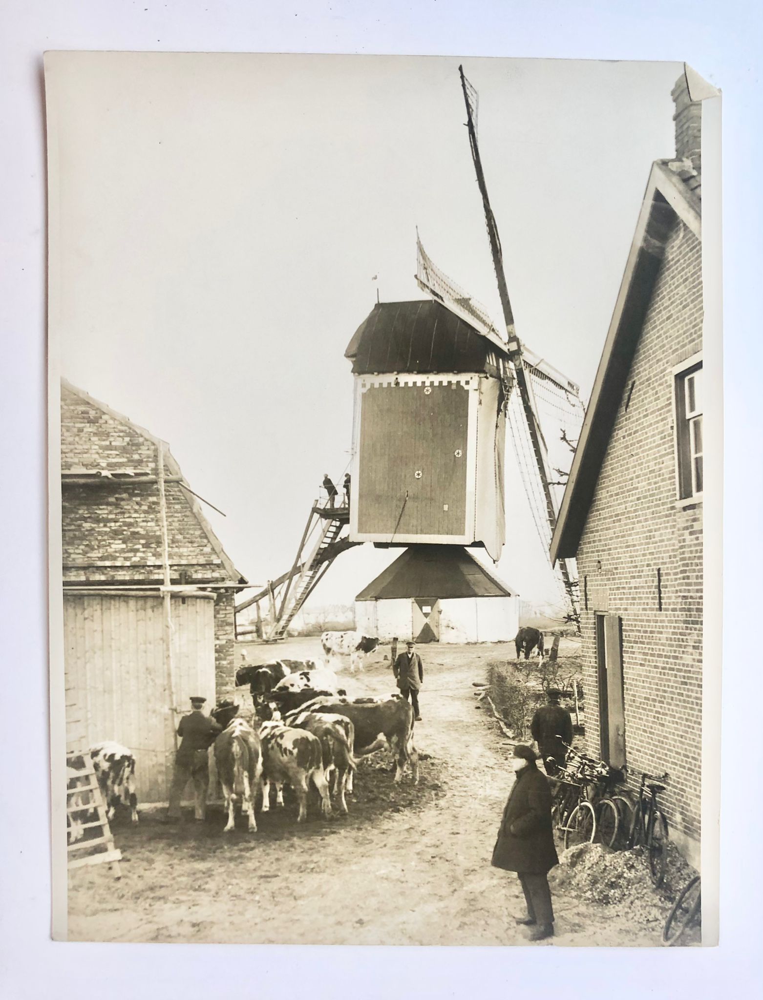  - [Photography, ZALK] Drie persfoto's, begin 20e eeuw, van de overstromingen (flood) te Zalk en omgeving (Nederasselt) op 1 januari 1926, elk 18x24 cm.