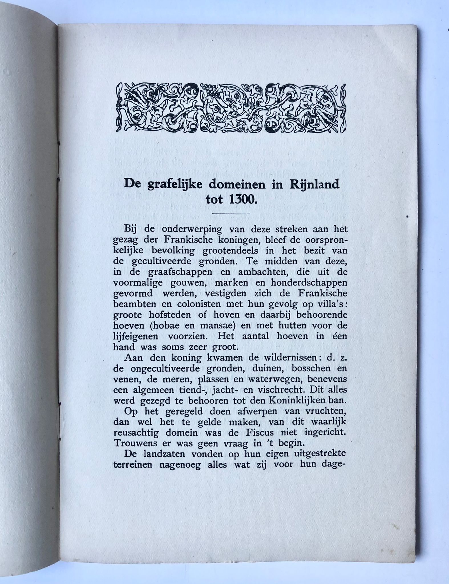 [Rijnland, Zuid-Holland] De grafelijke domeinen in Rhijnland tot 1300, Overgedrukt uit het Leidsche Jaarboekje 1917, Door F. Gordon, 95 pp.
