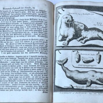 [Fishing, Greenland 1720] Bloeyende opkomst der aloude en hedendaagsche Groenlandsche visschery (...) Met bijvoeging van de walvischvangst (...) door A. Moubach. Amsterdam, Oosterwyk, 1720, (36)+330+(14) pp. .