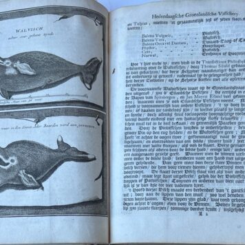 [Fishing, Greenland 1720] Bloeyende opkomst der aloude en hedendaagsche Groenlandsche visschery (...) Met bijvoeging van de walvischvangst (...) door A. Moubach. Amsterdam, Oosterwyk, 1720, (36)+330+(14) pp. .