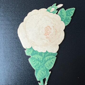 [Paper Art, Souvenir rose, The Hague, ca 1860] Souvenir-Roos van Den Haag, lithography with 28 topographical illustrations, folded in the form of a rose. Total: 25 x 25 cm, folded about 12x6,5 cm. Published by J.C. Adler Hamburg, 1 p.